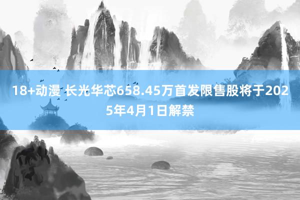 18+动漫 长光华芯658.45万首发限售股将于2025年4月1日解禁