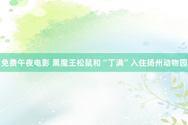 免费午夜电影 黑魔王松鼠和“丁满”入住扬州动物园