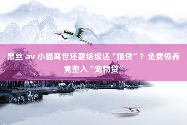 黑丝 av 小猫离世还要络续还“猫贷”？免费领养竟堕入“宠物贷”