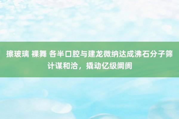 擦玻璃 裸舞 各半口腔与建龙微纳达成沸石分子筛计谋和洽，撬动亿级阛阓