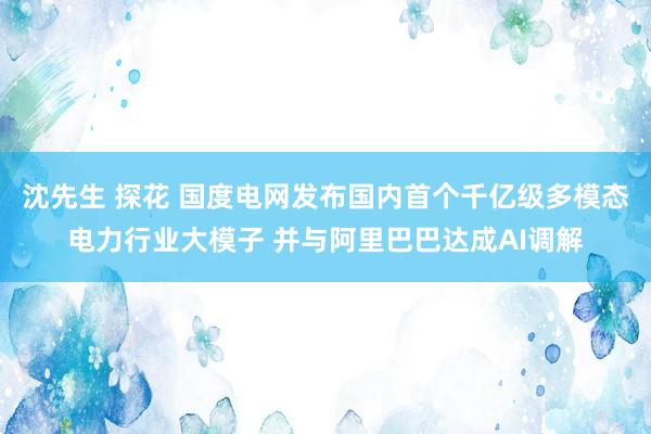 沈先生 探花 国度电网发布国内首个千亿级多模态电力行业大模子 并与阿里巴巴达成AI调解