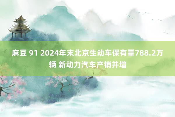 麻豆 91 2024年末北京生动车保有量788.2万辆 新动力汽车产销并增