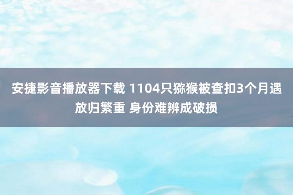 安捷影音播放器下载 1104只猕猴被查扣3个月遇放归繁重 身份难辨成破损