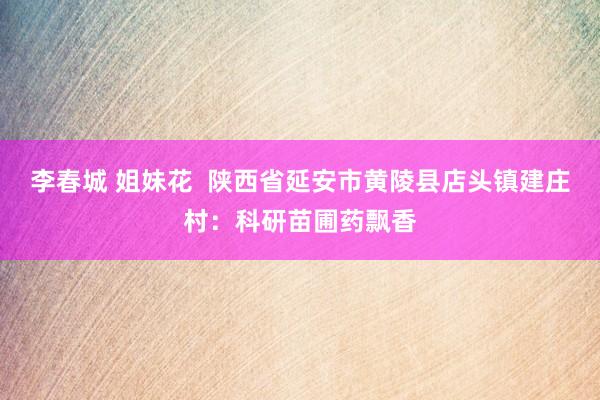 李春城 姐妹花  陕西省延安市黄陵县店头镇建庄村：科研苗圃药飘香