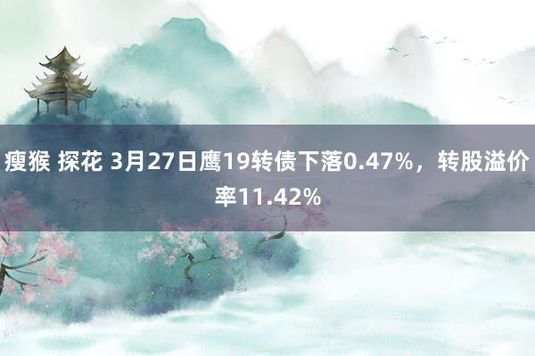 瘦猴 探花 3月27日鹰19转债下落0.47%，转股溢价率11.42%