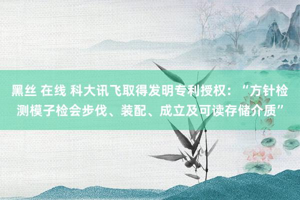 黑丝 在线 科大讯飞取得发明专利授权：“方针检测模子检会步伐、装配、成立及可读存储介质”
