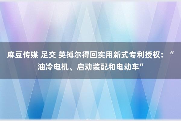 麻豆传媒 足交 英搏尔得回实用新式专利授权：“油冷电机、启动装配和电动车”