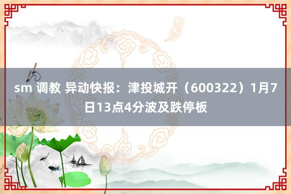 sm 调教 异动快报：津投城开（600322）1月7日13点4分波及跌停板