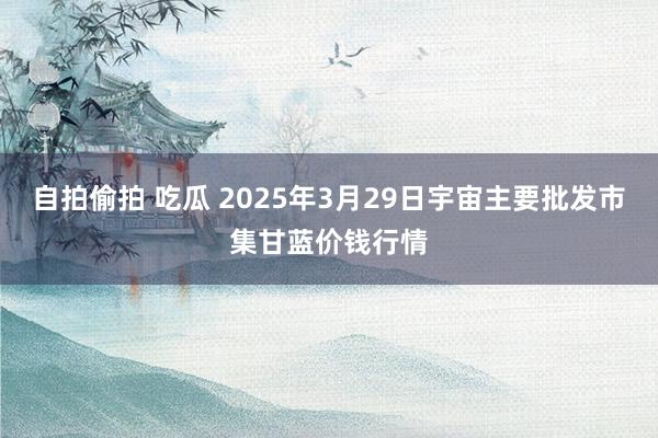 自拍偷拍 吃瓜 2025年3月29日宇宙主要批发市集甘蓝价钱行情