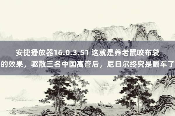 安捷播放器16.0.3.51 这就是养老鼠咬布袋的效果，驱散三名中国高管后，尼日尔终究是翻车了