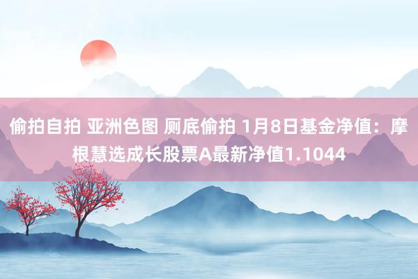 偷拍自拍 亚洲色图 厕底偷拍 1月8日基金净值：摩根慧选成长股票A最新净值1.1044