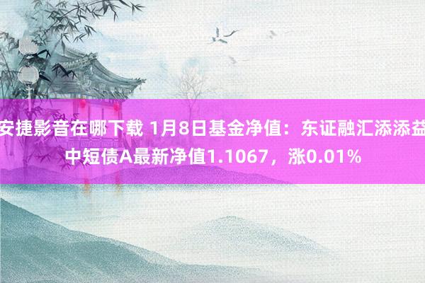 安捷影音在哪下载 1月8日基金净值：东证融汇添添益中短债A最新净值1.1067，涨0.01%