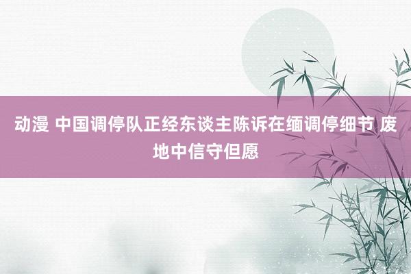 动漫 中国调停队正经东谈主陈诉在缅调停细节 废地中信守但愿