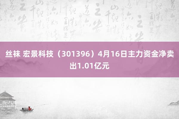 丝袜 宏景科技（301396）4月16日主力资金净卖出1.01亿元