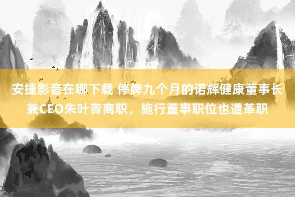 安捷影音在哪下载 停牌九个月的诺辉健康董事长兼CEO朱叶青离职，施行董事职位也遭革职