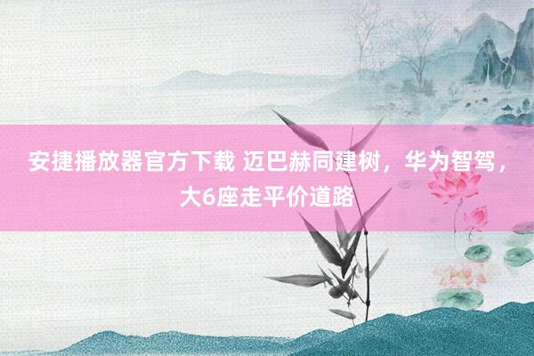 安捷播放器官方下载 迈巴赫同建树，华为智驾，大6座走平价道路