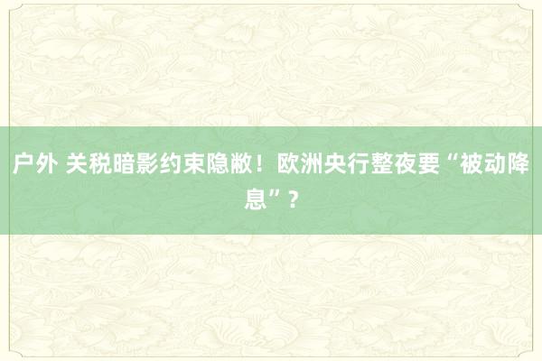 户外 关税暗影约束隐敝！欧洲央行整夜要“被动降息”？