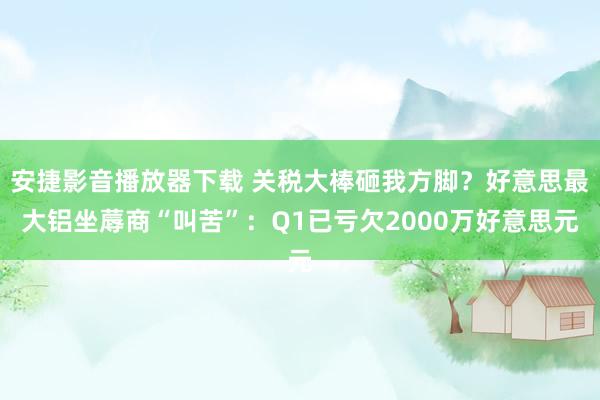 安捷影音播放器下载 关税大棒砸我方脚？好意思最大铝坐蓐商“叫苦”：Q1已亏欠2000万好意思元