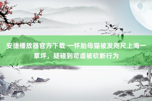 安捷播放器官方下载 一怀胎母猫被发咫尺上海一草坪，疑碰到苛虐被砍断行为